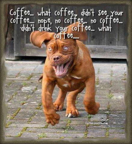 funny-pictures-dog-coffee.jpg