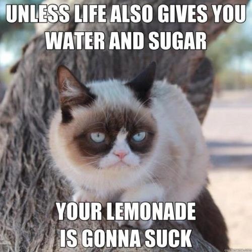 [Image: funny-pictures-lemonade-suck-grumpy-cat.jpg]