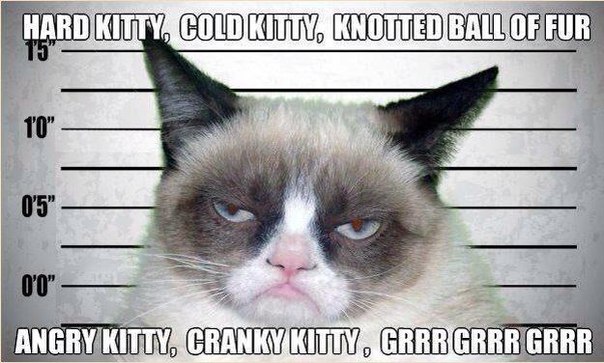 funny-pictures-grumpy-cat-song.jpg