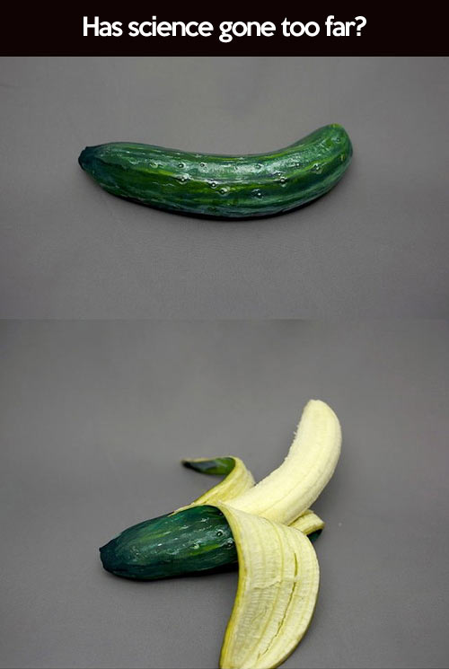 funny-picture-cucumber-banana-science.jp