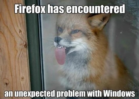 funny-picture-firefox-windows-fox.jpg
