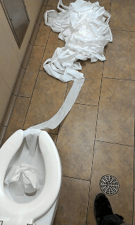 funny-gif-toilet-paper.gif