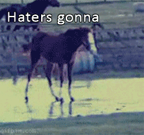 funny-gif-horse-ice-haters.gif