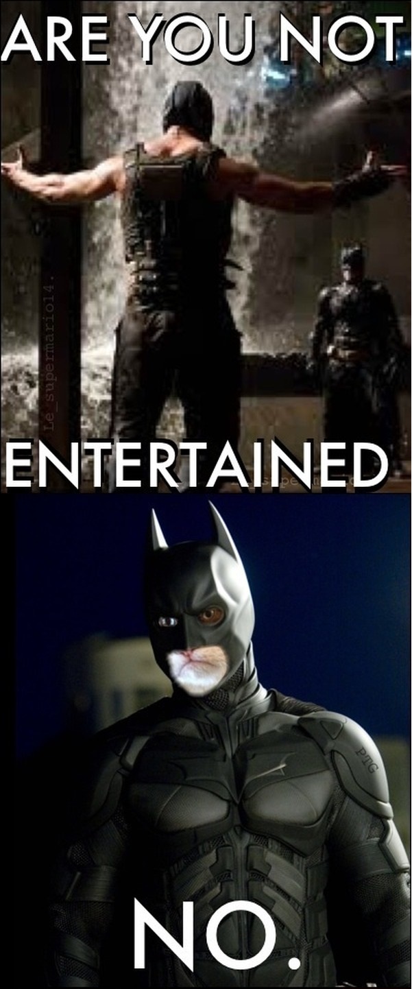 Funny Batman Jokes Evening jokes (20 pics)