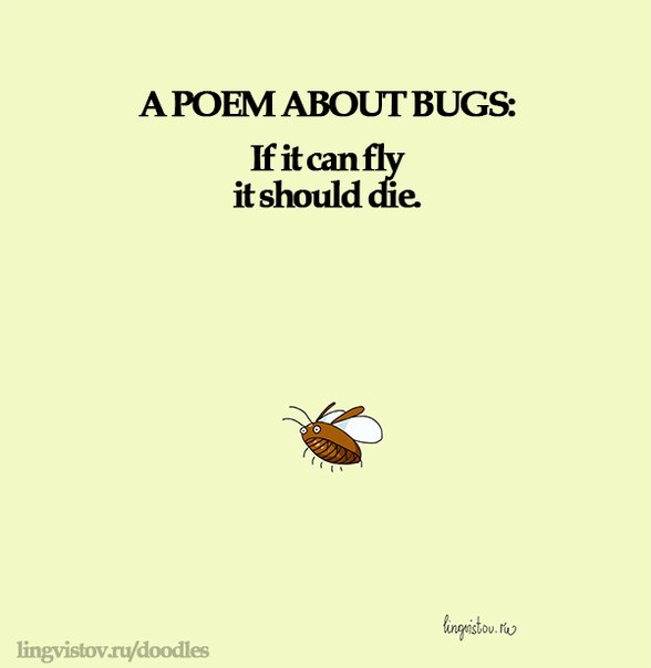 funny bed bug quotes funny things birds say confucius funny quotes