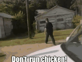 funny-gif-chicken-police.gif
