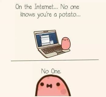 funny-picture-internet-potato.jpg