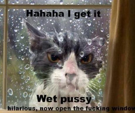 funny-picture-wet-pussy.jpg