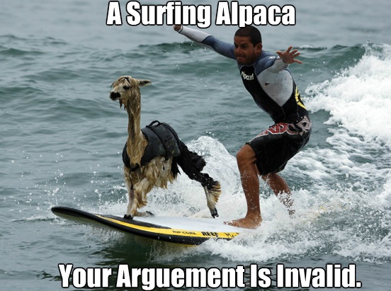 funny-picture-surfing-alpaca.jpg