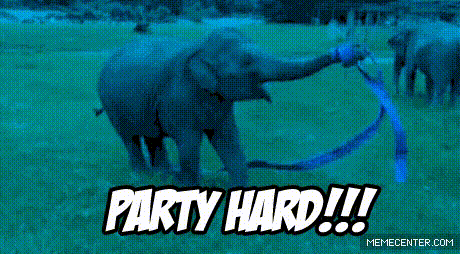 funny-gif-elephant-party-hard.gif