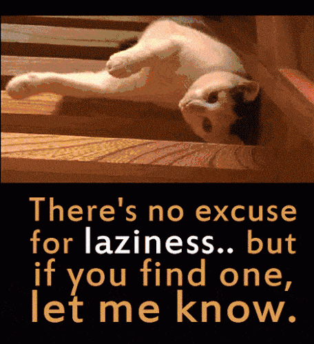 funny-gif-lazy-cat-stairs.gif