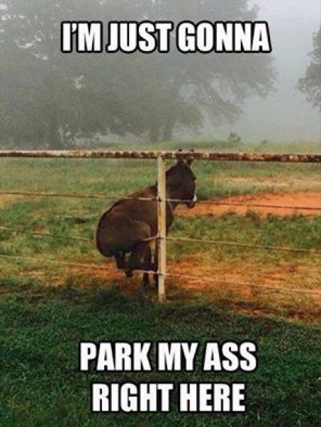 Ass parking