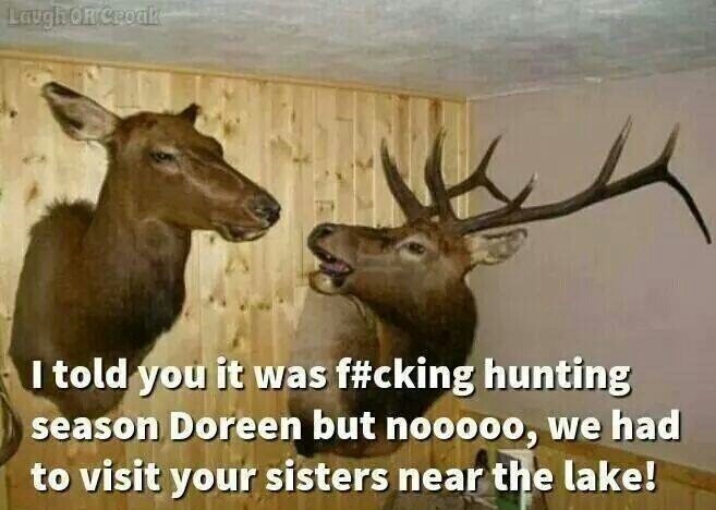 funny-deers-hunting-season.jpg