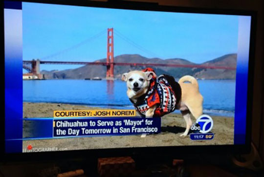 Meanwhile In San Francisco