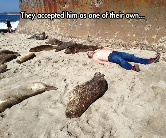 funny-seal-beach-sand-man-lay-down.jpg