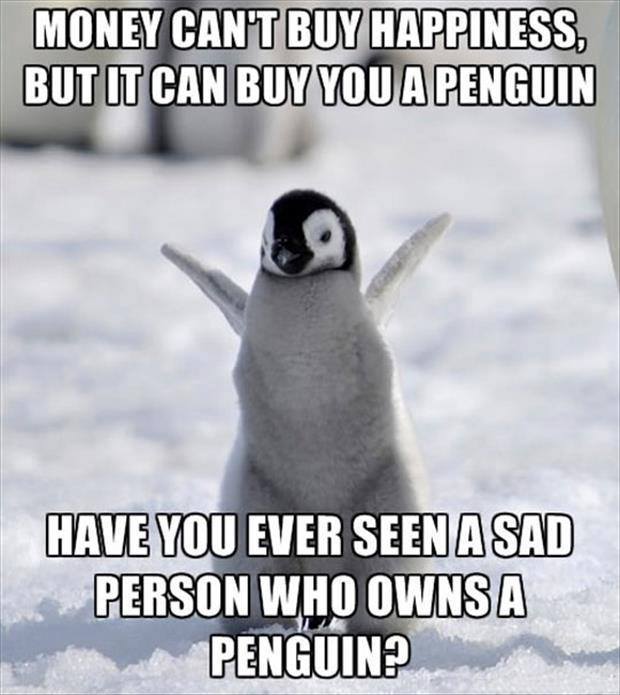 penguin-happiness-sad.jpg