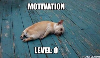 motivation-level-lazy-puppy.jpg