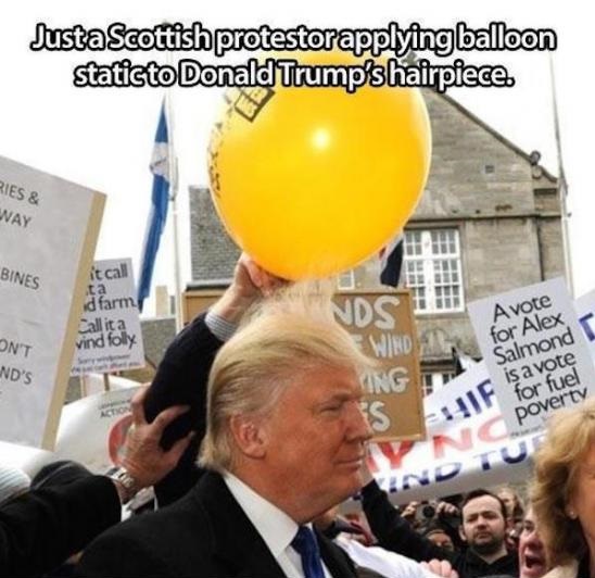 donald-trump-hair-balloon.jpg