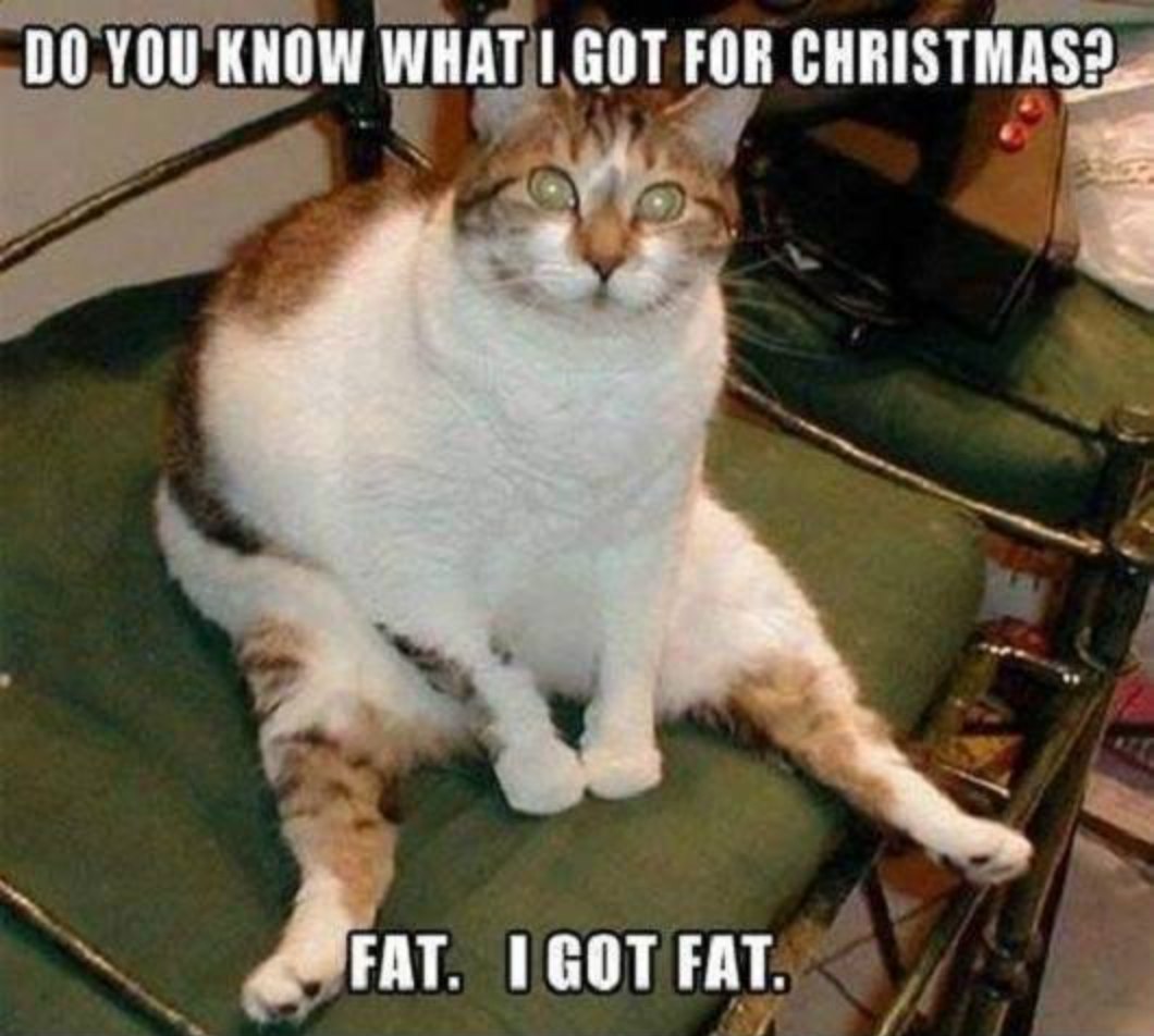 Fat For Christmas