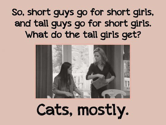 Tall girl jokes