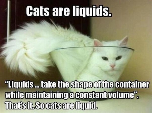 cats-are-liquids