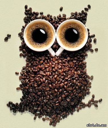 coffee-owl