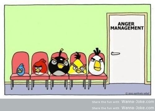 angry-birds-anger-management