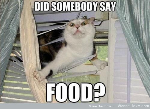 did-somebody-say-food
