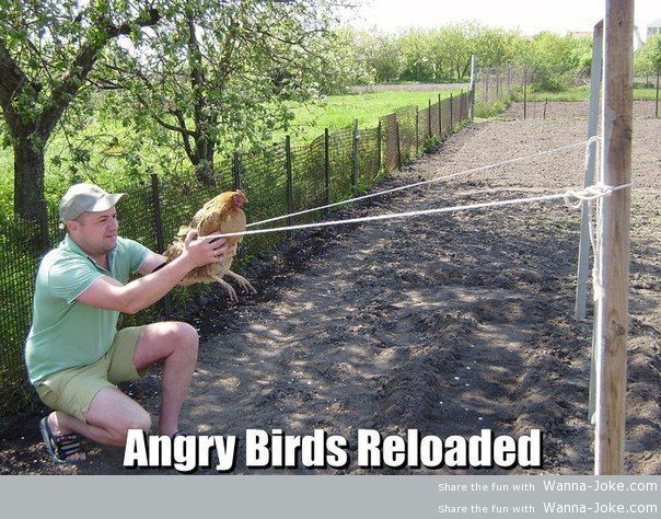 angry-birds-reloaded