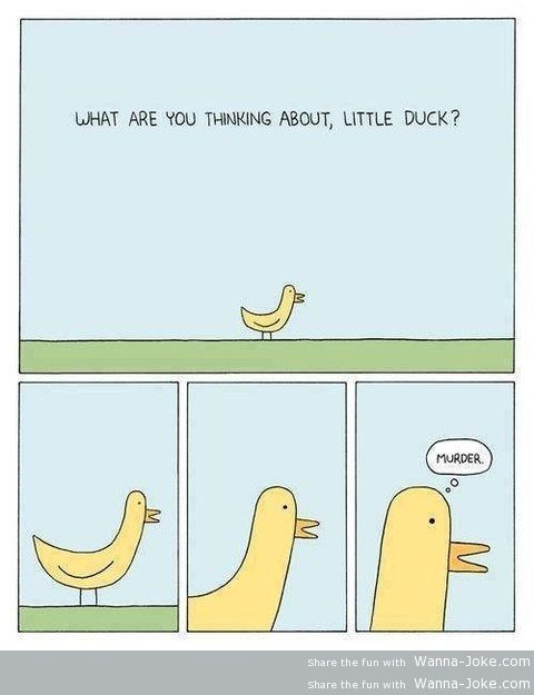 duck-thinks-about-murder