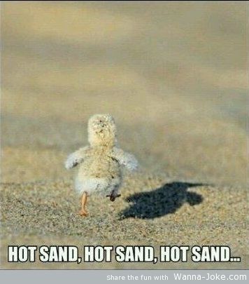 hot-sand