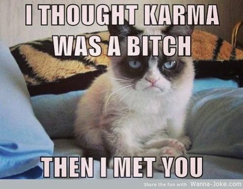 karma-bitch-grumpy-cat