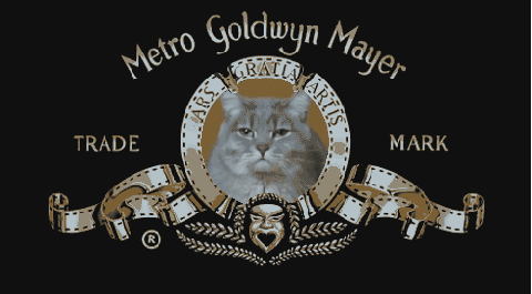 metro-goldwyn-mayer
