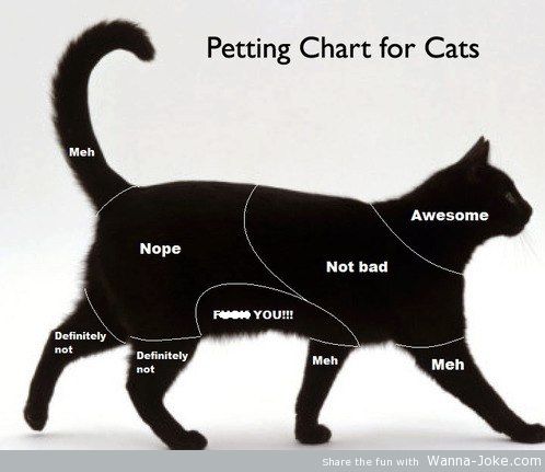 pettting-chart-for-cats