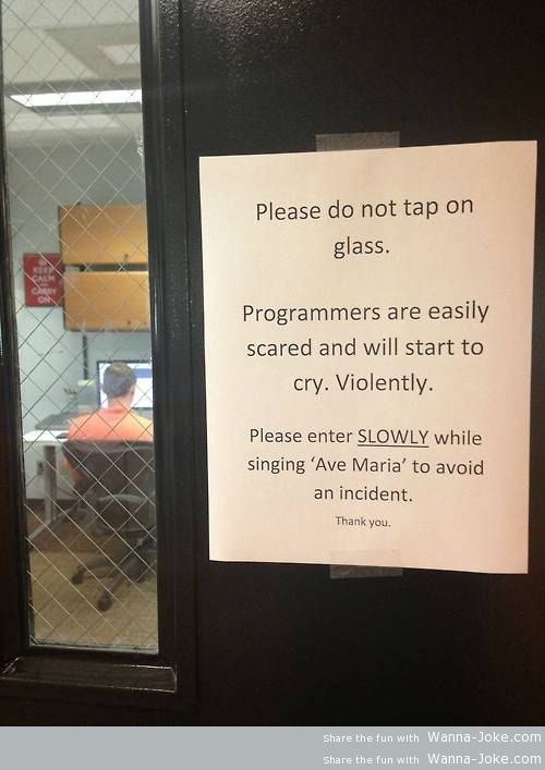 typical-programmers