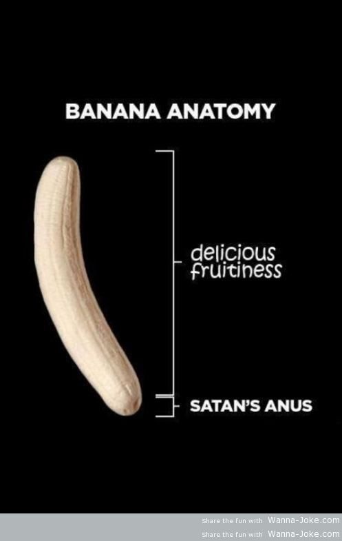 banana-anatomy