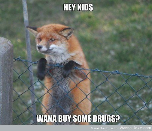 drug-dealer-fox