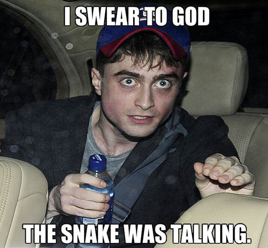 funny-picture-daniel-harry-potter-radcliffe-snake