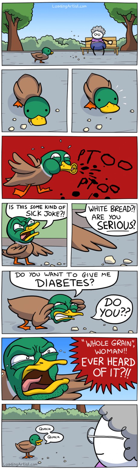 funny-picture-duck-white-bread