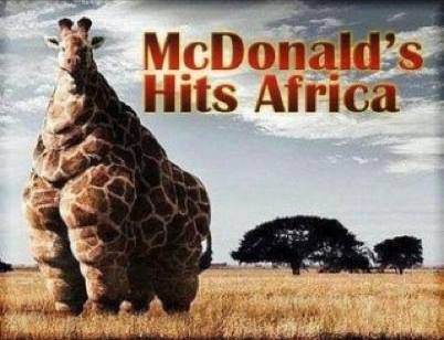 funny-picture-giraffe-mcdonalds-africa