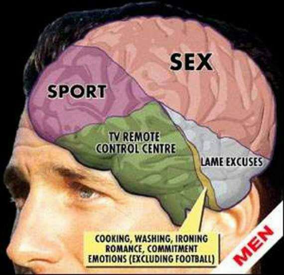 funny-picture-men-brain.jpg