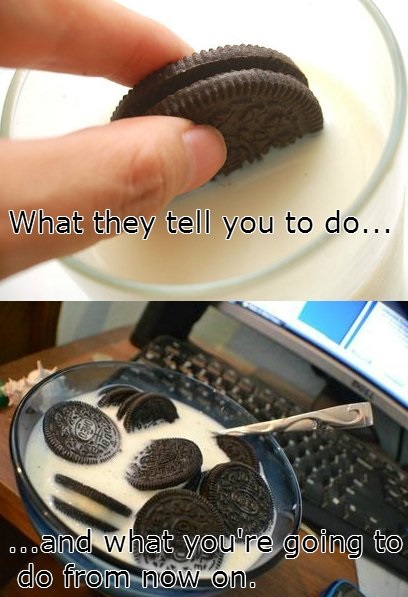 funny-picture-oreo-eating