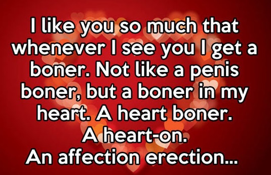 funny-pictures-an-affection-erection