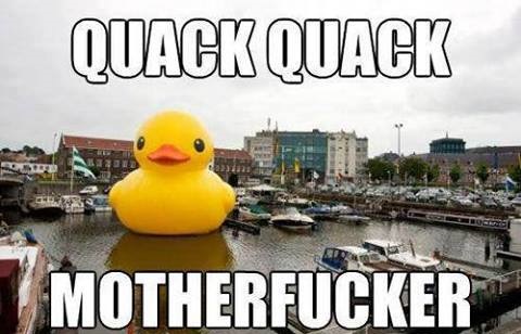 funny-pictures-huge-duck-quack-quak