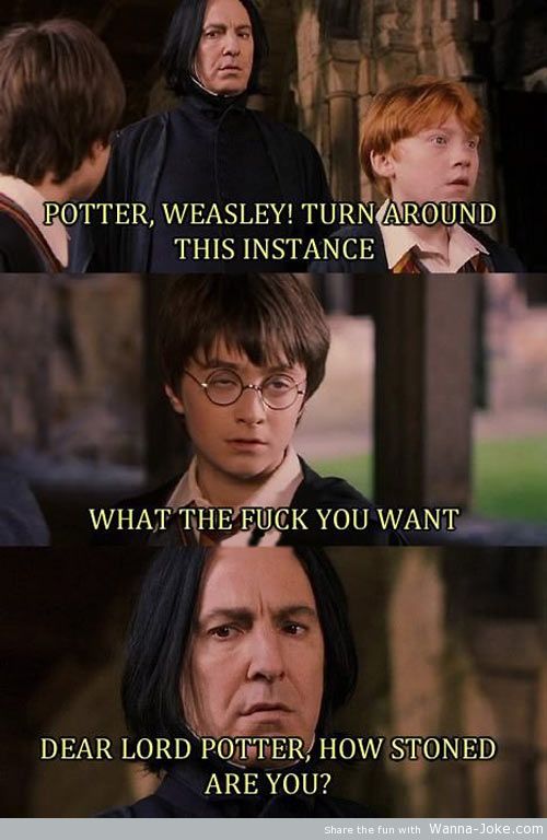 stoned-potter