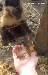 funny-gifs-no-time-to-explain-hide-this