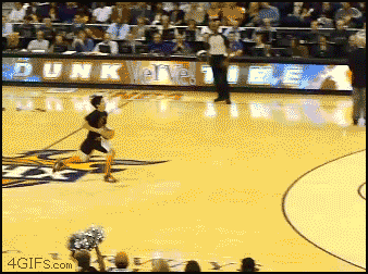 funny-gifs-what-the-fuck-did-i-just-see