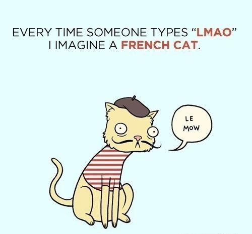 funny-pictures-french-cat-lmao