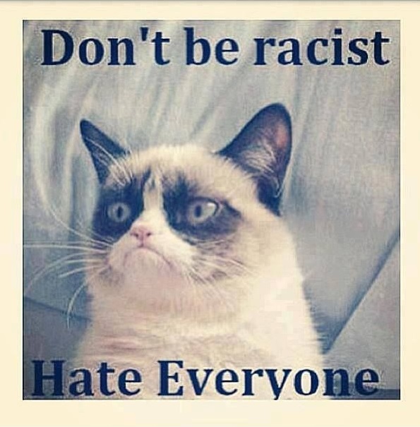funny-pictures-grumpy-cat-dont-be-a-racist
