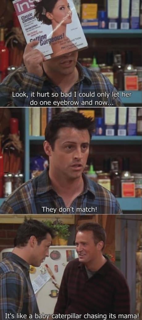 funny-pictures-joey-and-his-eye-brows